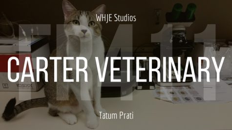 Carter Veterinary - FR411 #15