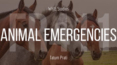 Animal Emergencies - FR411 #17