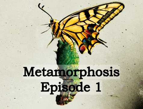 Maggie Ernst - Metamorphosis 1