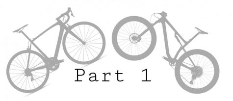 Cyclin IN: Episode 2