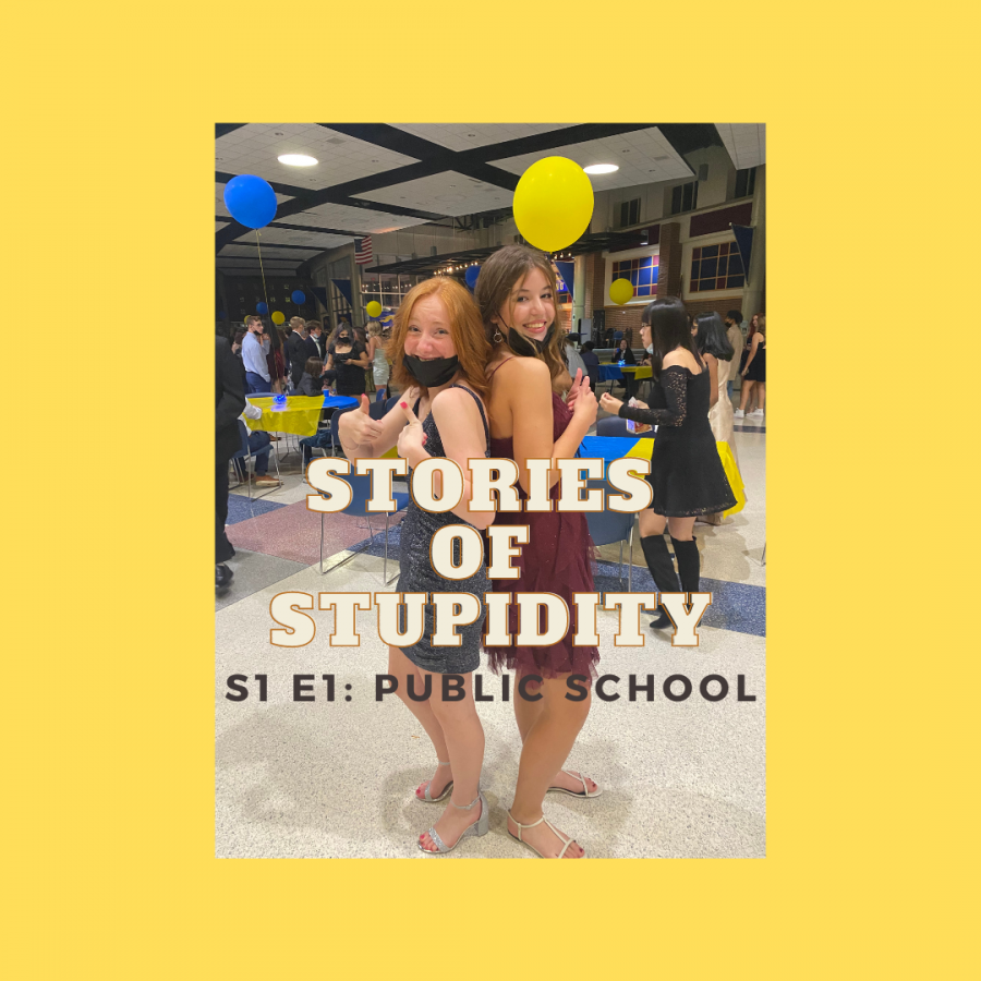 Stories of Stupidity - Public Schools