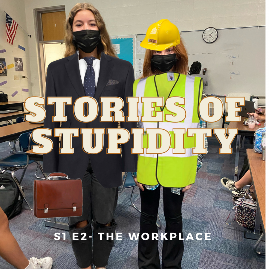 Stories of Stupidity - The Workplace