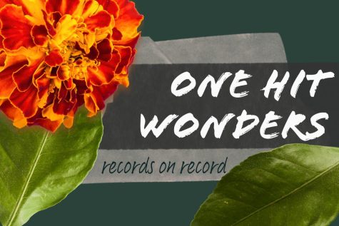 Records on Record Episode 18-One Hit Wonders