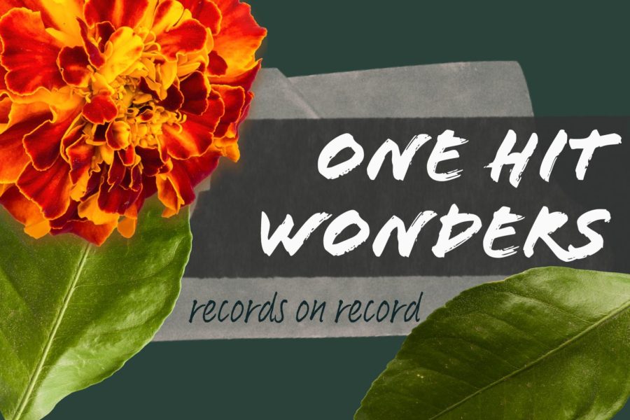 Records+on+Record+Episode+18-One+Hit+Wonders