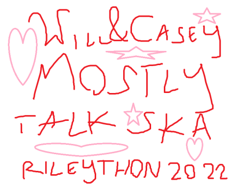 Will And Casey Mostly Talk Ska Rileython 2022