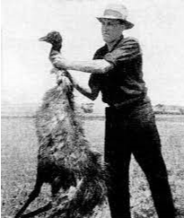Historical Hiccups - The Emu War