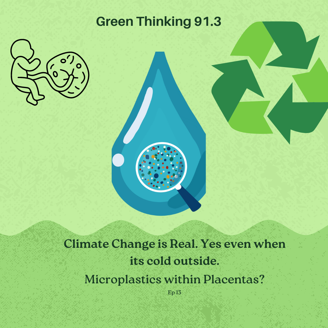 Green Thinking Placentas and Climate Change
