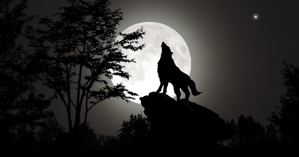 Spooky Stories Show 10 - Werewolves
